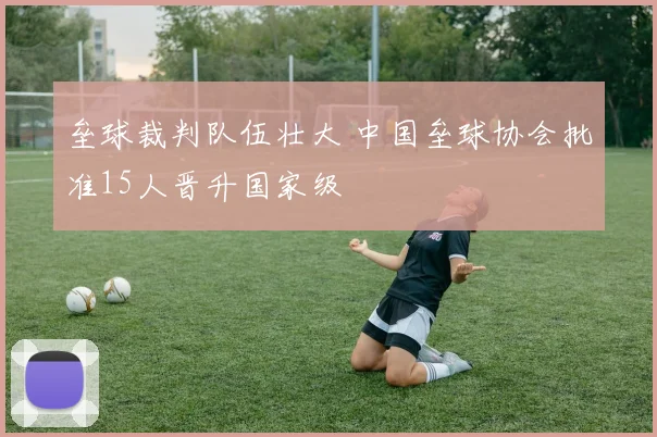 垒球裁判队伍壮大 中国垒球协会批准15人晋升国家级